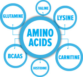 amino-acids-guide_03a