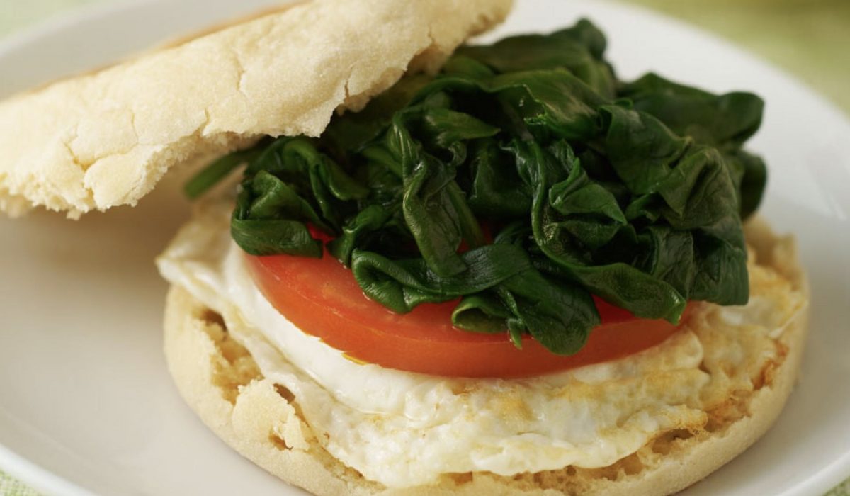 EggWhite Muffin Melt Pro Trainer