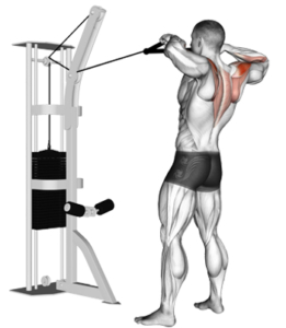 Face Pulls For Better Shoulder Health Pro Trainer